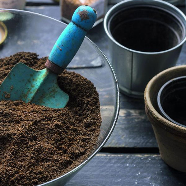 Pri izboru posuda za sijanje možete biti kreativni