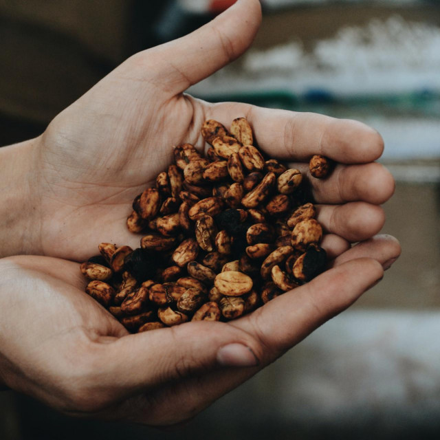 Jonathan Sanchez, Unsplash