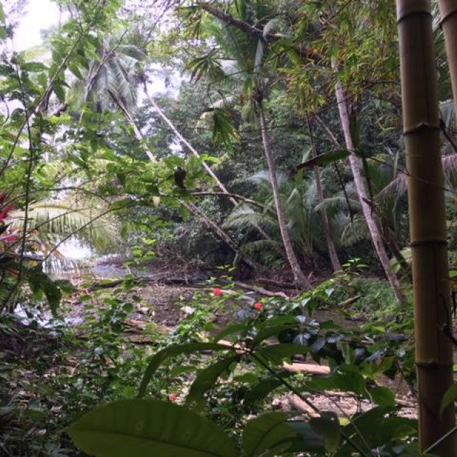 Corcovado ljubitelje prirode ne ostavlja ravnodušnima