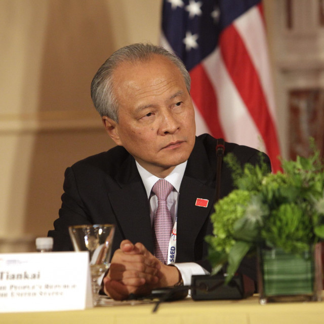 Cui Tiankai