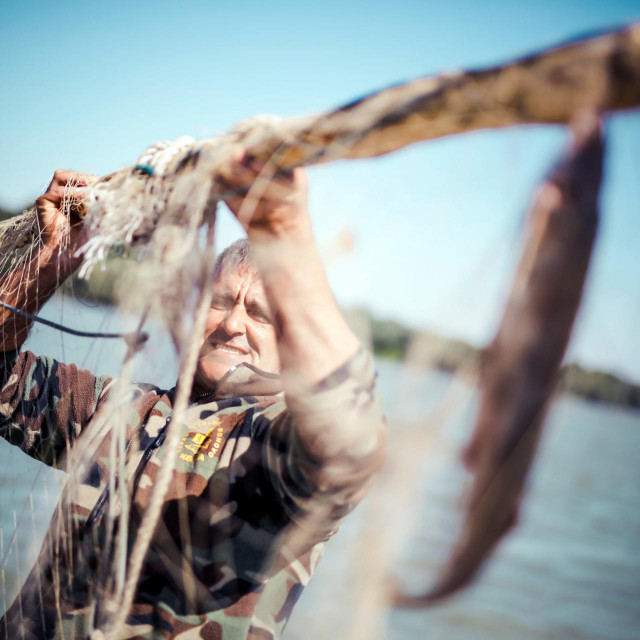 Ilok, 230920
Riba Keciga fotografirana u hotelu Dunav u Iloku.
Na fotografiji alas Tomislav Zajac lovi kecige na Dunavu.