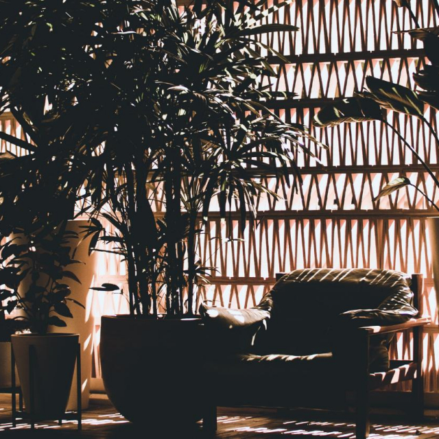 Fotografija: Unsplash 