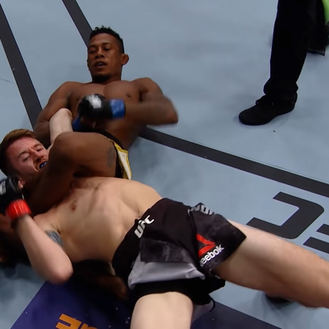 Alcantara vs. Sandhagen