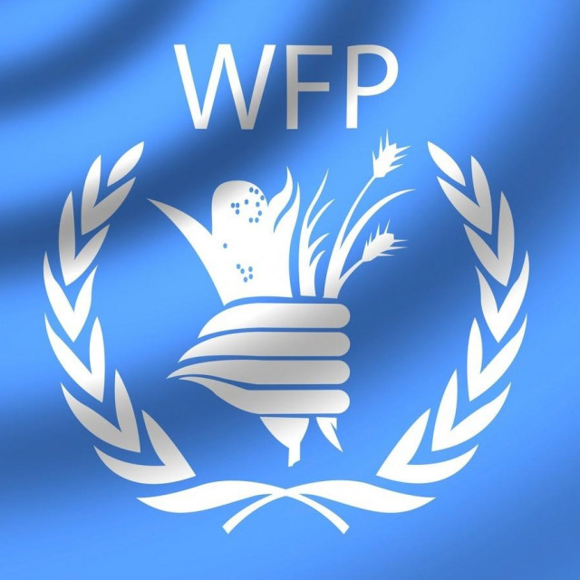 Svjetski program za hranu