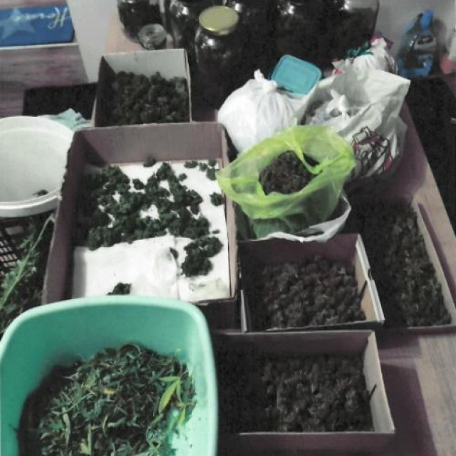 Zaplijenjena marihuana