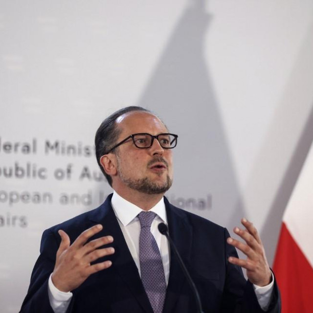 Alexander Schallenberg 