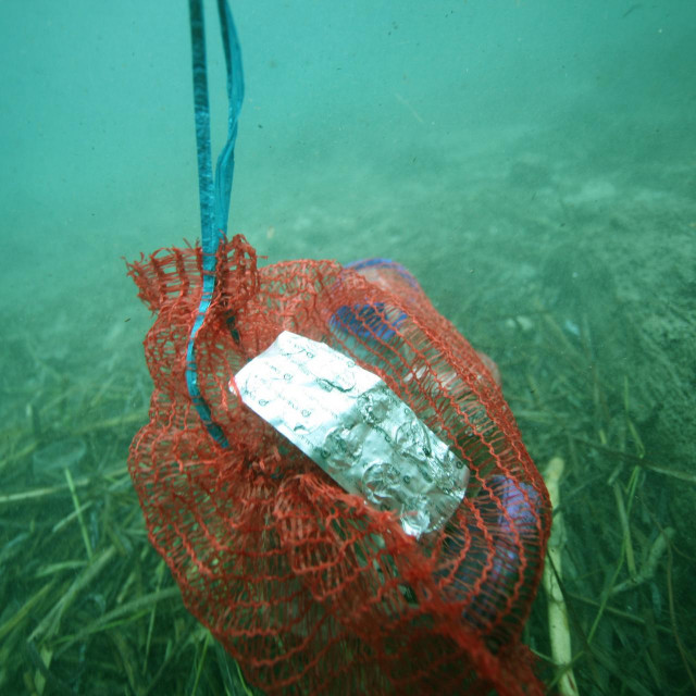 Čišćenje podmorja u Trsteniku, vala Zaglavak, od smeća koje je jugo nanijelo prije neki dan, koje je najvjerojatnije stiglo iz Albanije. Podmorje su čistili ronioci klluba Bofor i KK Neretva Mostar.