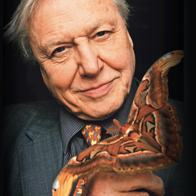 Sir David Attenborough