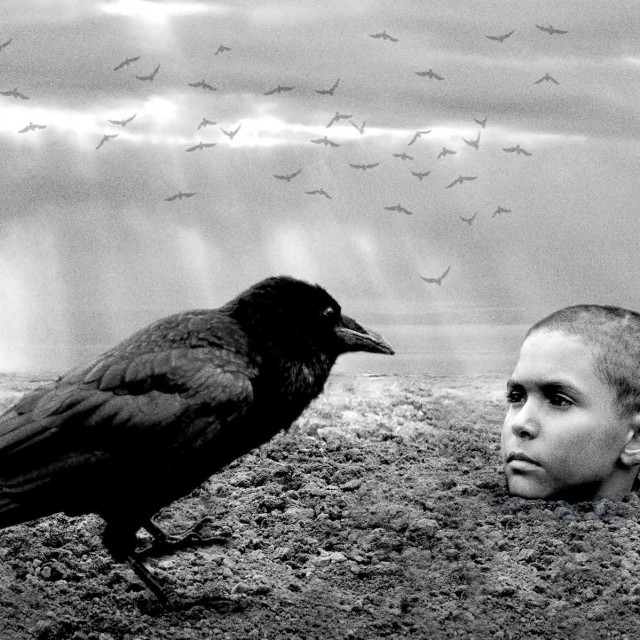 Film 'Obojena ptica'