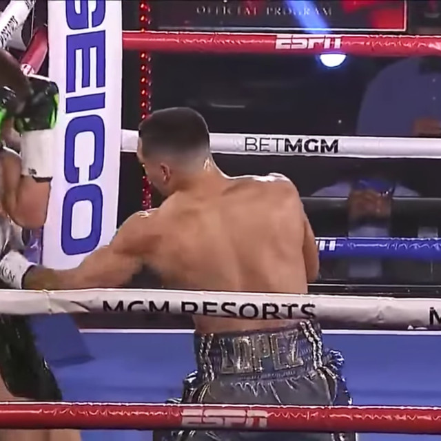 Lomachenko vs. Lopez
