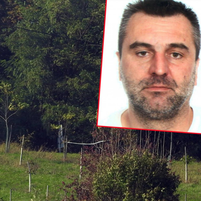 Šuma kod Jalžabeta i Dejan Petreković