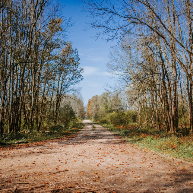 Ovo doba godine idealno je za istraživanje prirode