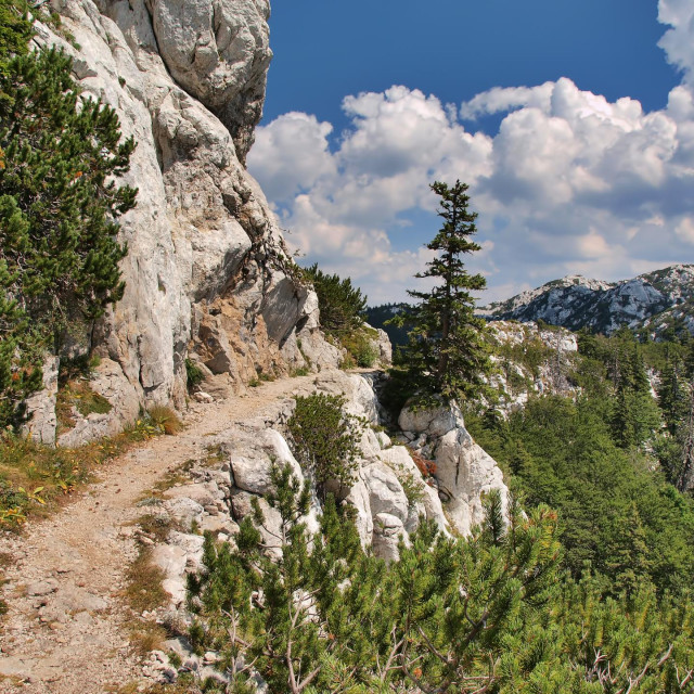 Staze u NP Sjeverni Velebit ugodne su i dobro obilježene