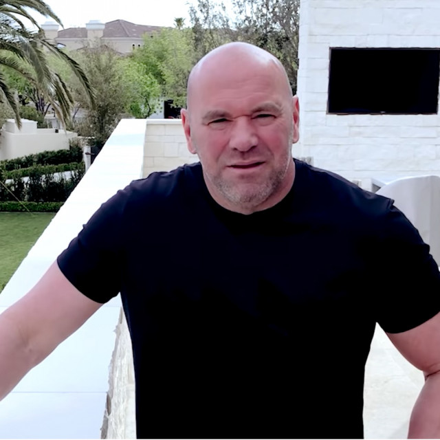 Dana White
