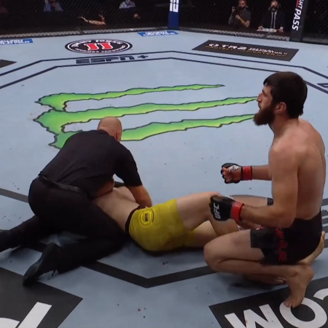 Cutelaba vs. Ankalaev