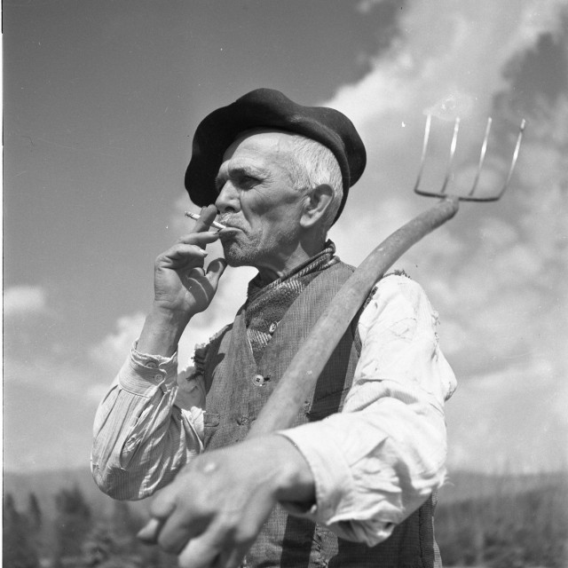 Arhiv Tošo Dabac, MSU, Grad Zagreb