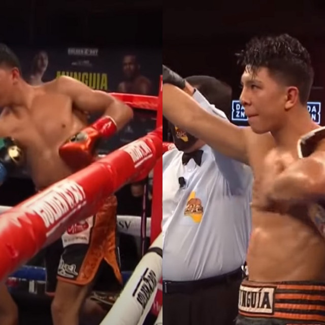Munguia vs. Johnson