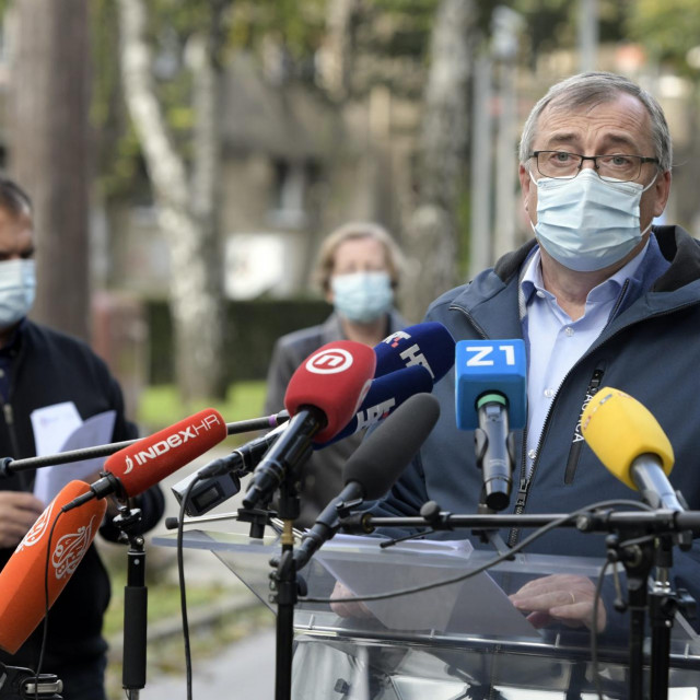 Krunoslav Capak, Vili Beroš, Alemka Markotić