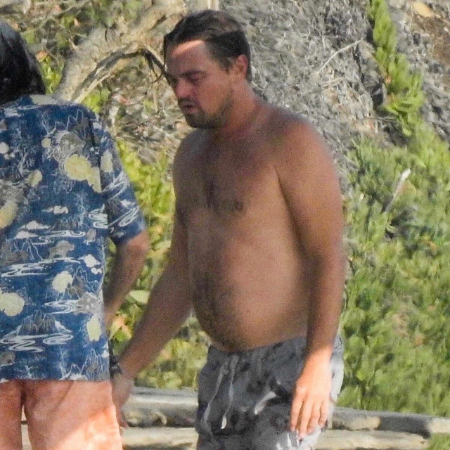 Leonardo DiCaprio