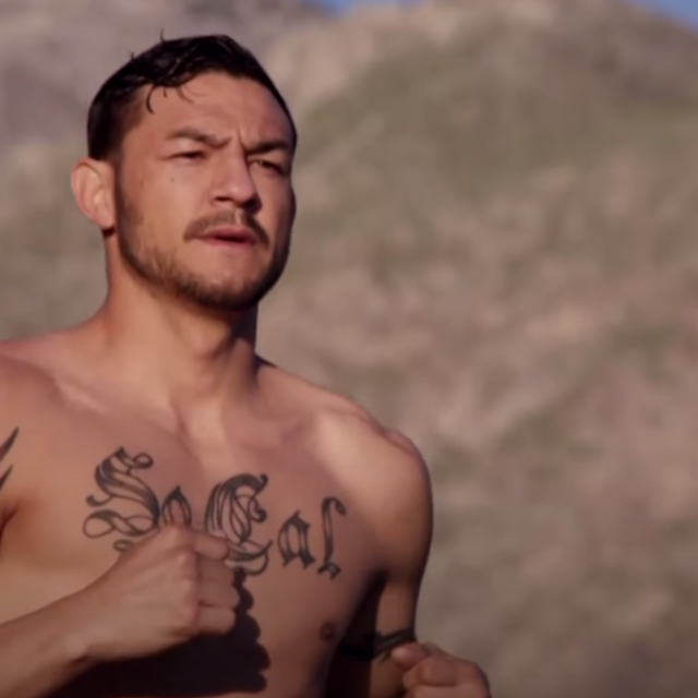 Cub Swanson