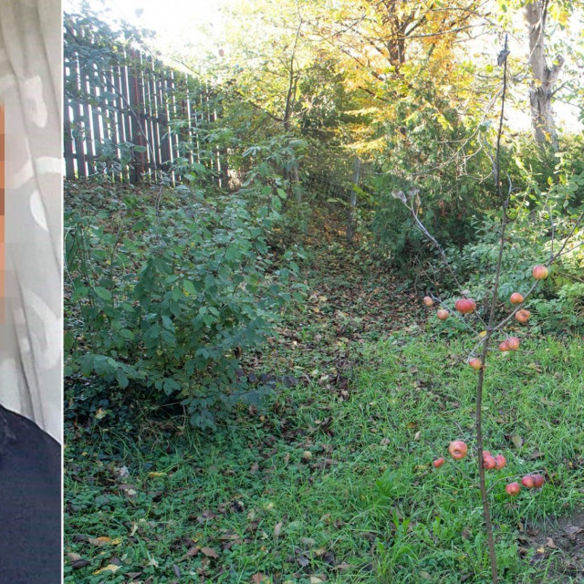 Amerikanac koji je držao brata zatočenim (lijevo)