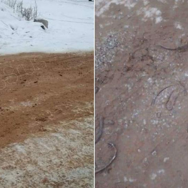 Kosti i lubanje pronađene na cesti