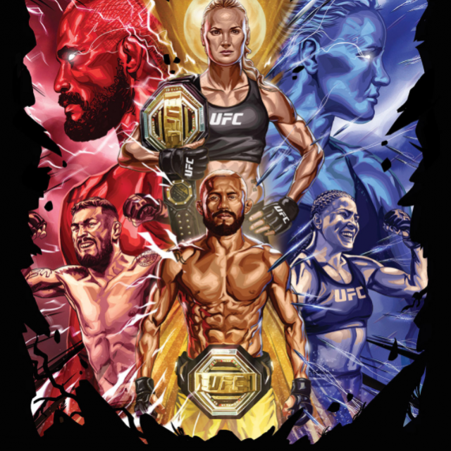 UFC 255 poster