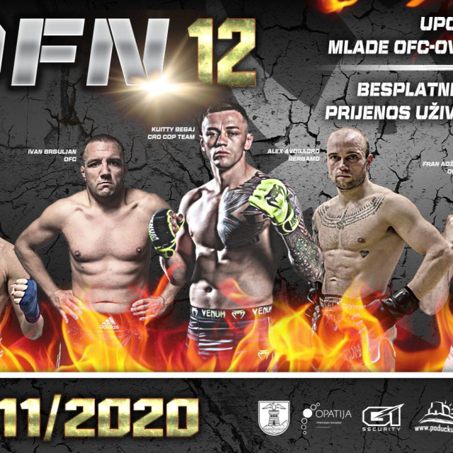 OFN12poster