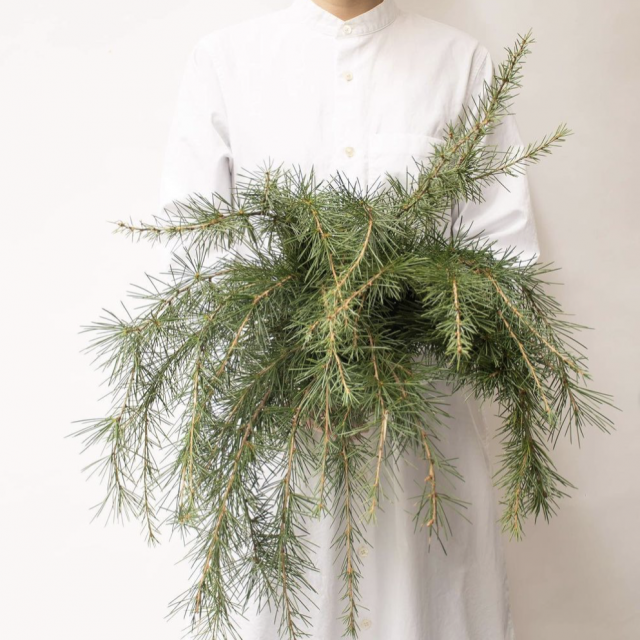 @ tokyo_shokubutsu_zufu
