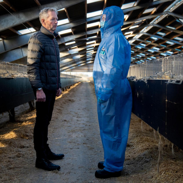 Farma nerčeva uDanskoj