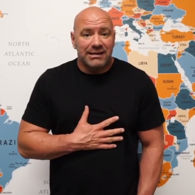 Dana White