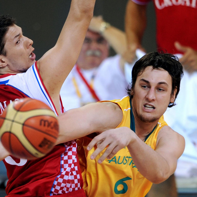 Andrew Bogut