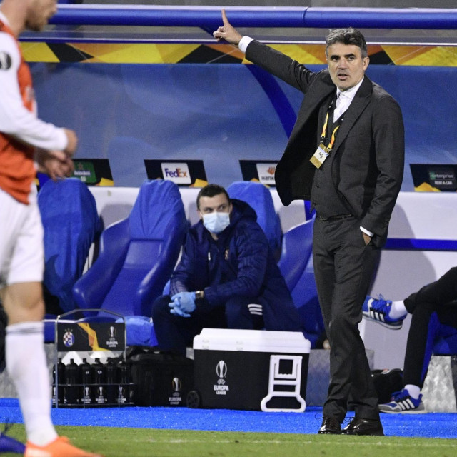 Trener Dinama Zoran Mamić