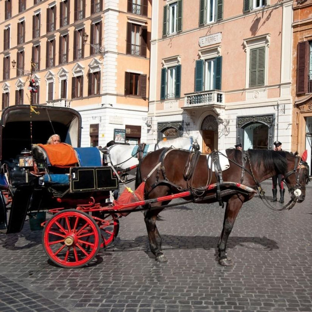 Kočija s konjima na ulicama Rima