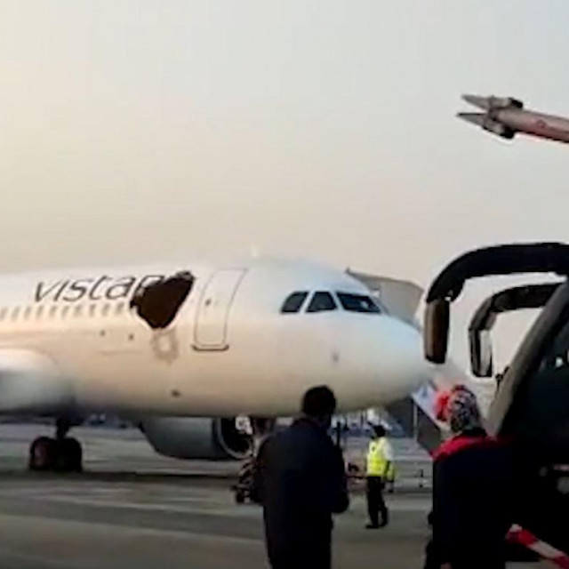 Napad pčela na avion