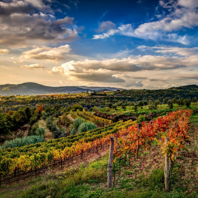 Istra u svim svojim bojama