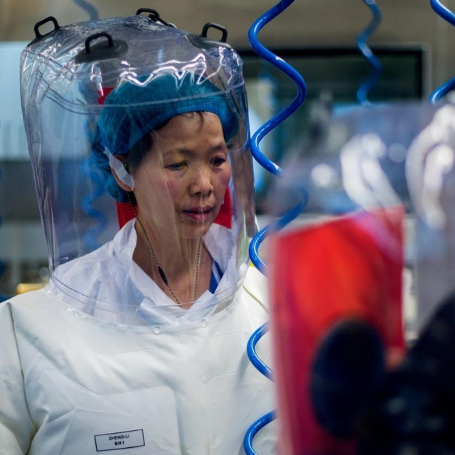 Doktorica Shi Zhengli