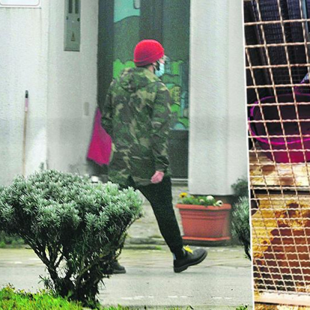 za potrebe ove istrage danima smo tajno volontirali u ovom azilu