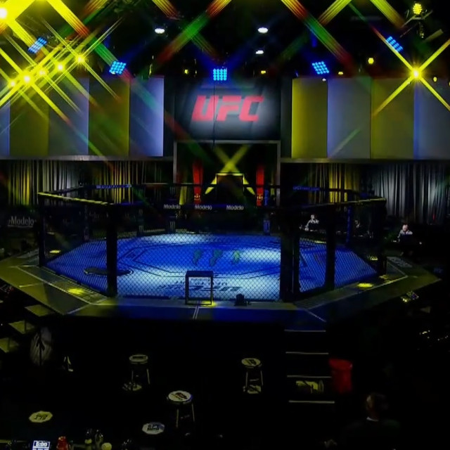 UFC APEX