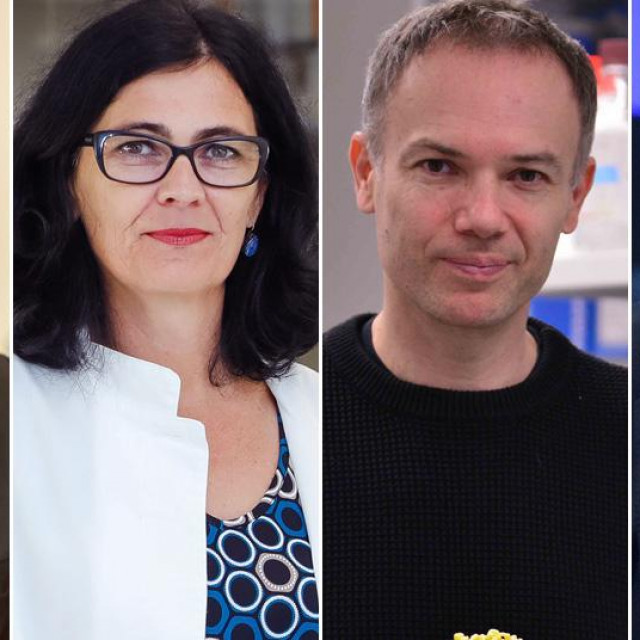 Zvonimir Frka Petešić, Andreja Ambriović Ristov, Nenad Ban i Andrej Plenković