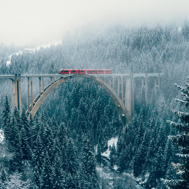 9557525