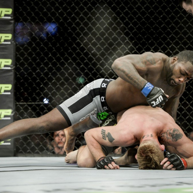 Anthony Johnson i Alexander Gustafsson