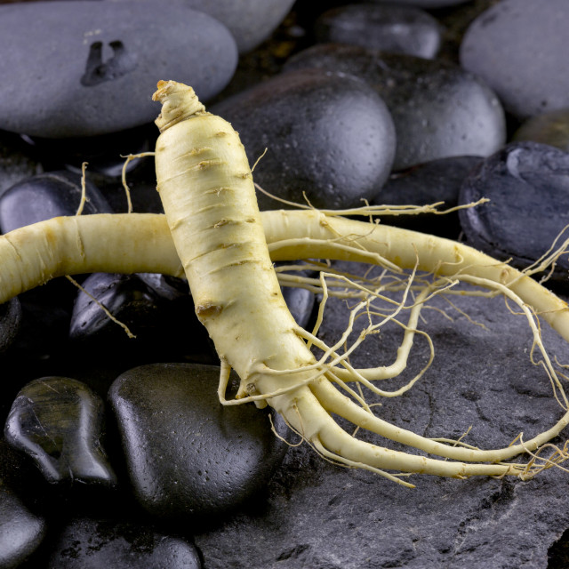 Ginseng je cijenjen i na Istoku i na Zapadu