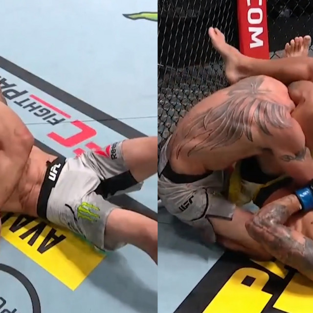Oliveira vs. Ferguson 