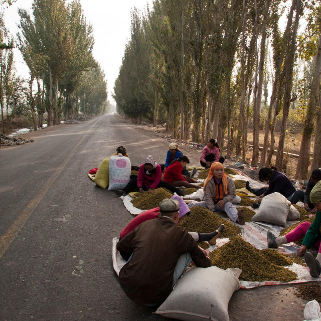 Crtica iz života Ujgura u pokrajini Xinjiang