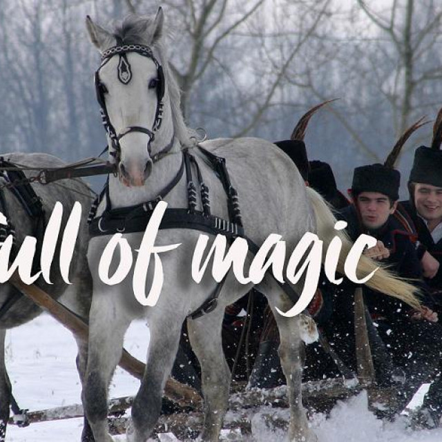 Hrvatska turistička zajednica