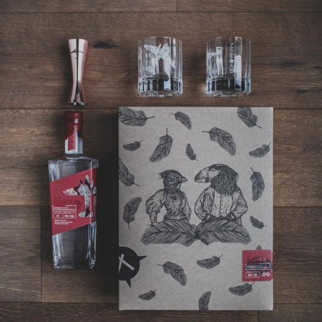 Old Pilot's Art Edition