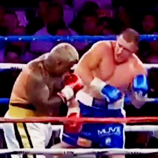Mark Hunt i Paul Gallen