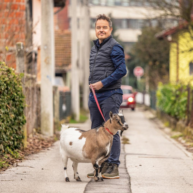 U Indiji se krave pozivaju na večere. Možete dobiti smrtnu kaznu ubijete li kravu