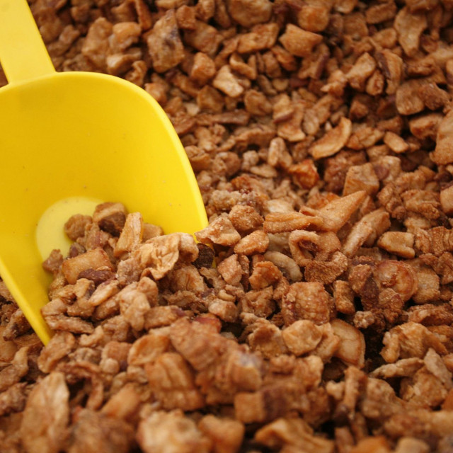 Arhivska fotografija